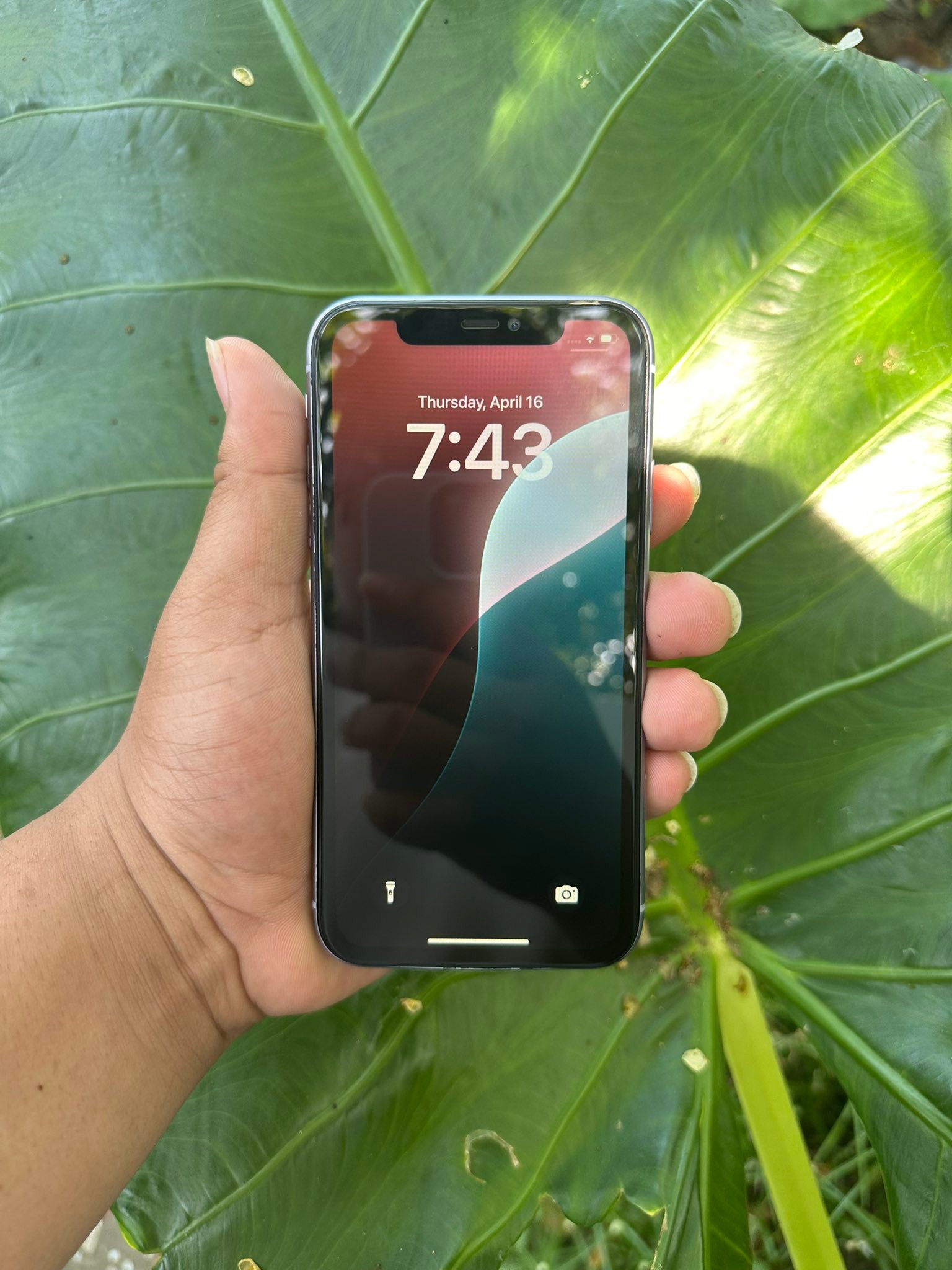【即使用可能】iPhone 11 256GB Face ID TrueTone FS/SWAP IPHONE 11 256GB TRUETONE✓ FACE ID ✓ F.U (ANYSIM)✓ 100BH
