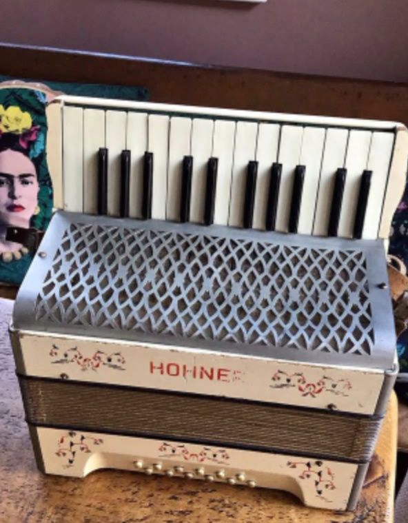 Was the Hohner Arietta IVM 120/41 a student accordion?