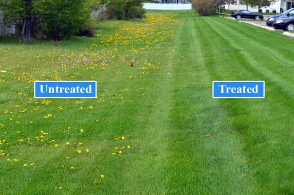Slimp’s Lawn Care and Landscaping | Decatur TX