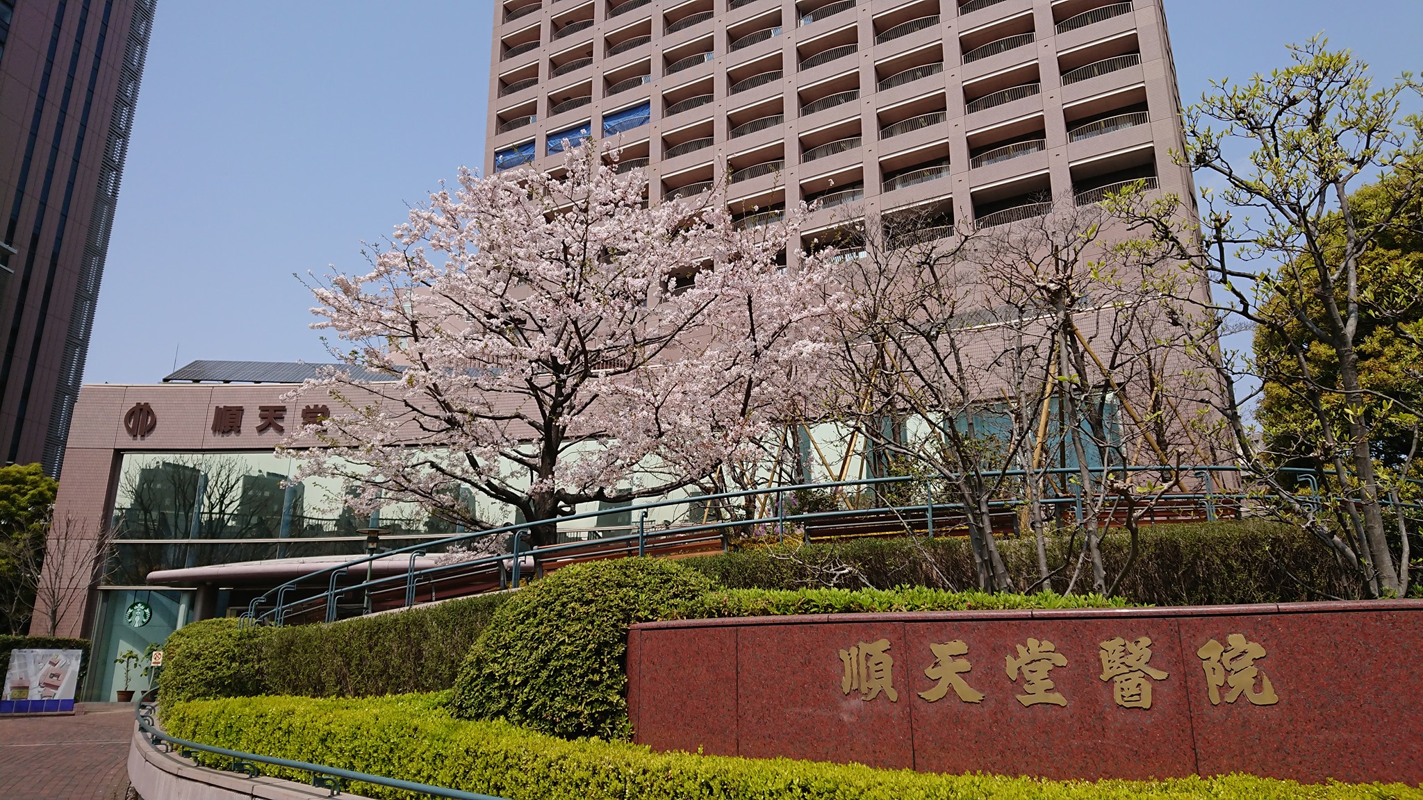 当時のメディア報道・掲載写真
