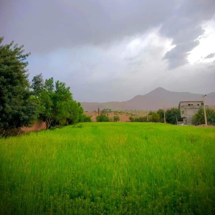 اسيف_المال assif_elmal