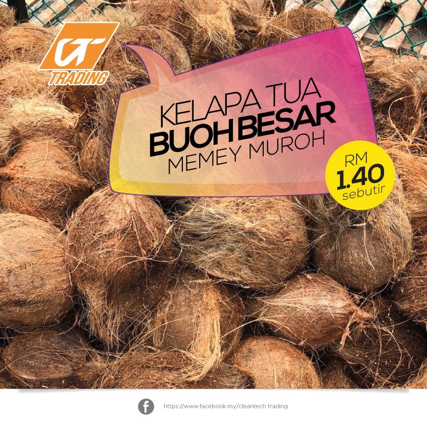 Kelapa Tua Kupas Shopee Indonesia