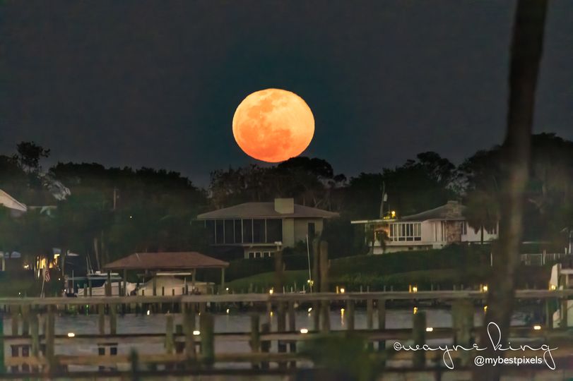 Only In Florida - The full moon rises over the banks of...