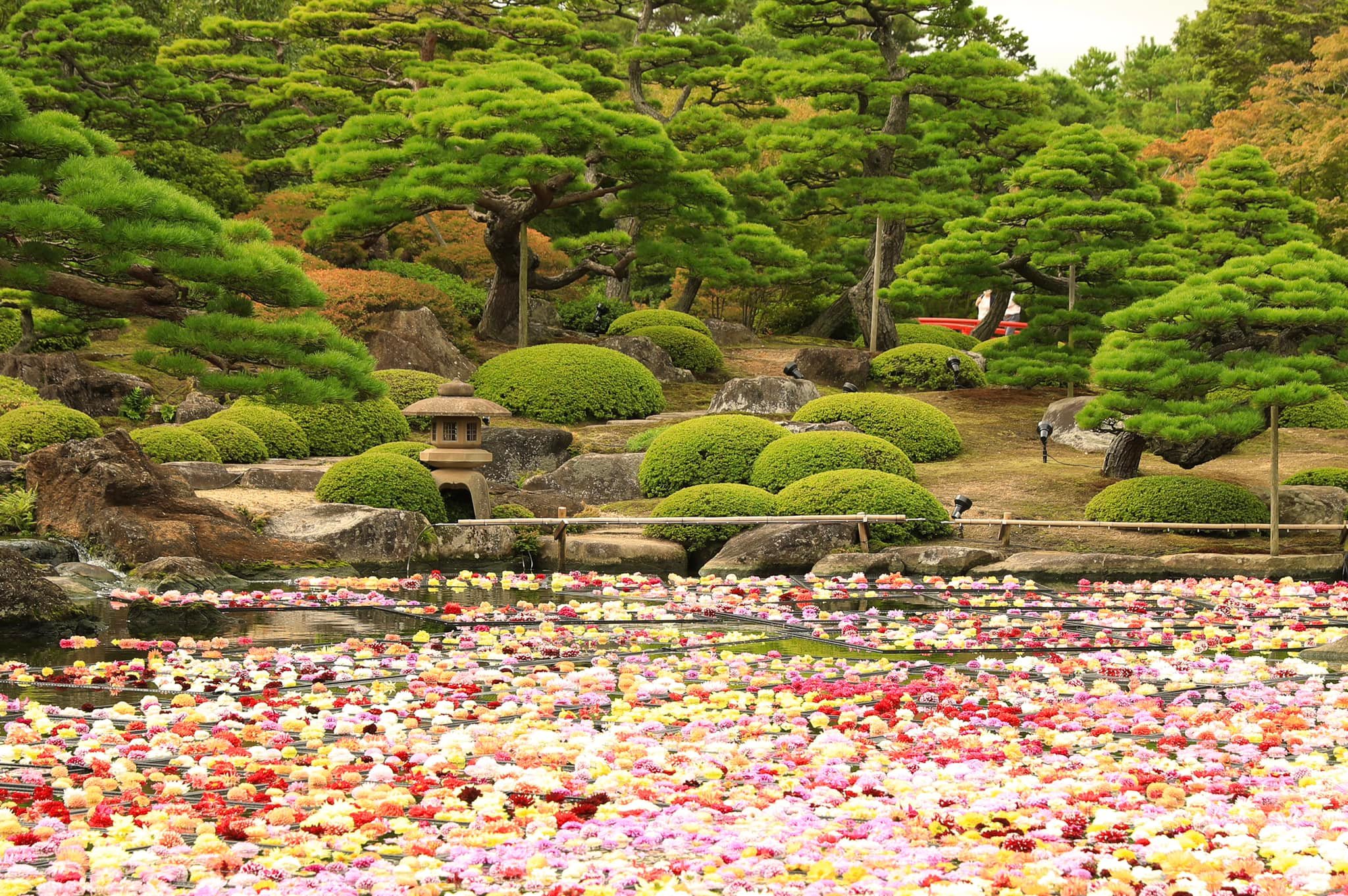 Yushien Garden in Matsue Shimane-ken