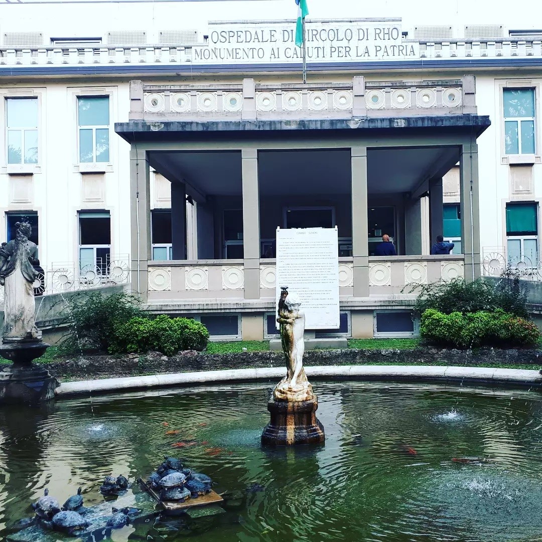 ASST-Rhodense - Le tartarughe, simbolo di resilienza e... | Facebook