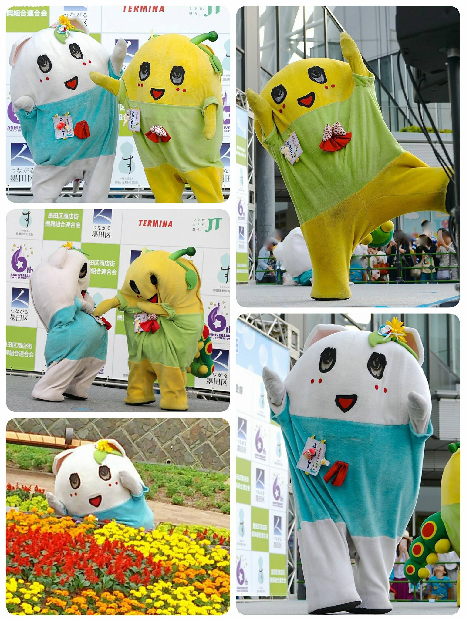 船梨精 funassyi - 5/26貓梨精&弟梨精參加「當地吉祥物集會in墨田」的活動寫真梨！... | Facebook