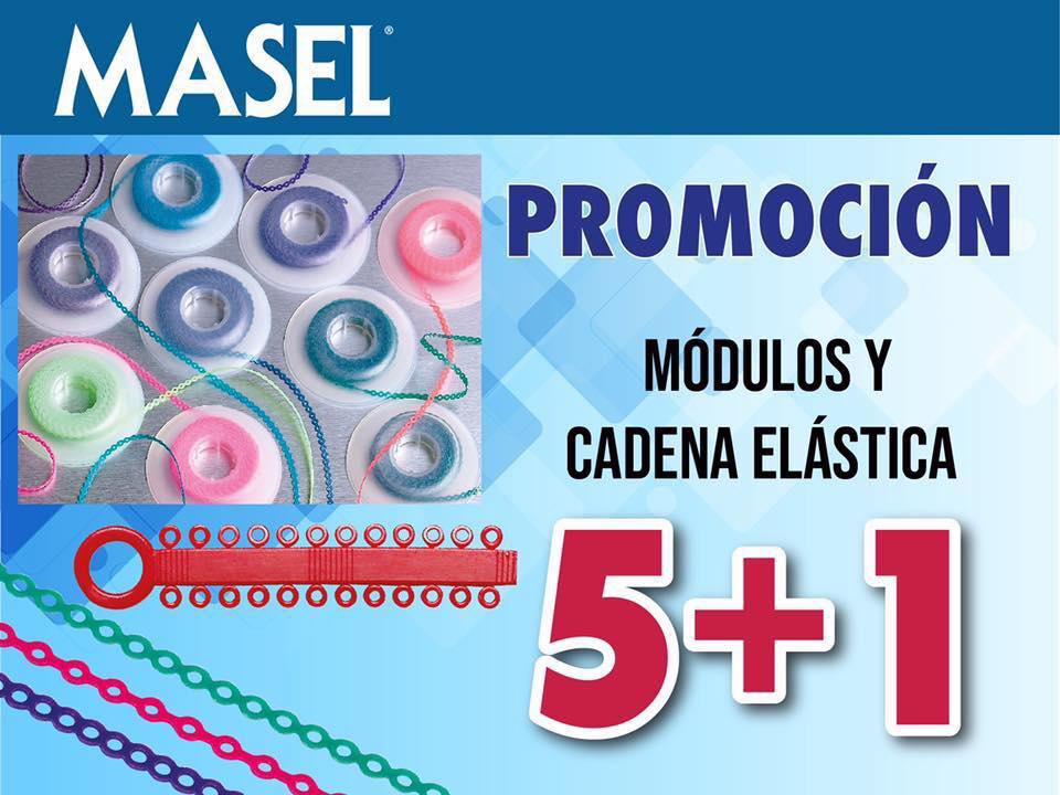Masel Mexico | Mexico City