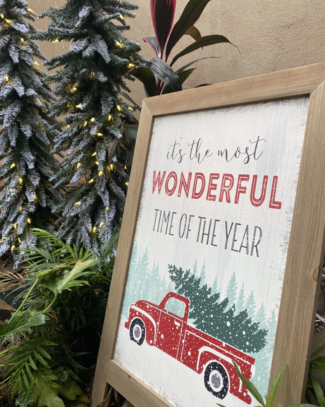 Amaranto - ¡Ya puedes visitar nuestro spot navideño y... | Facebook