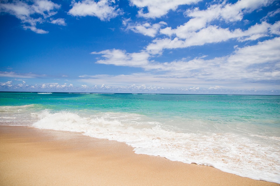 陳正浩