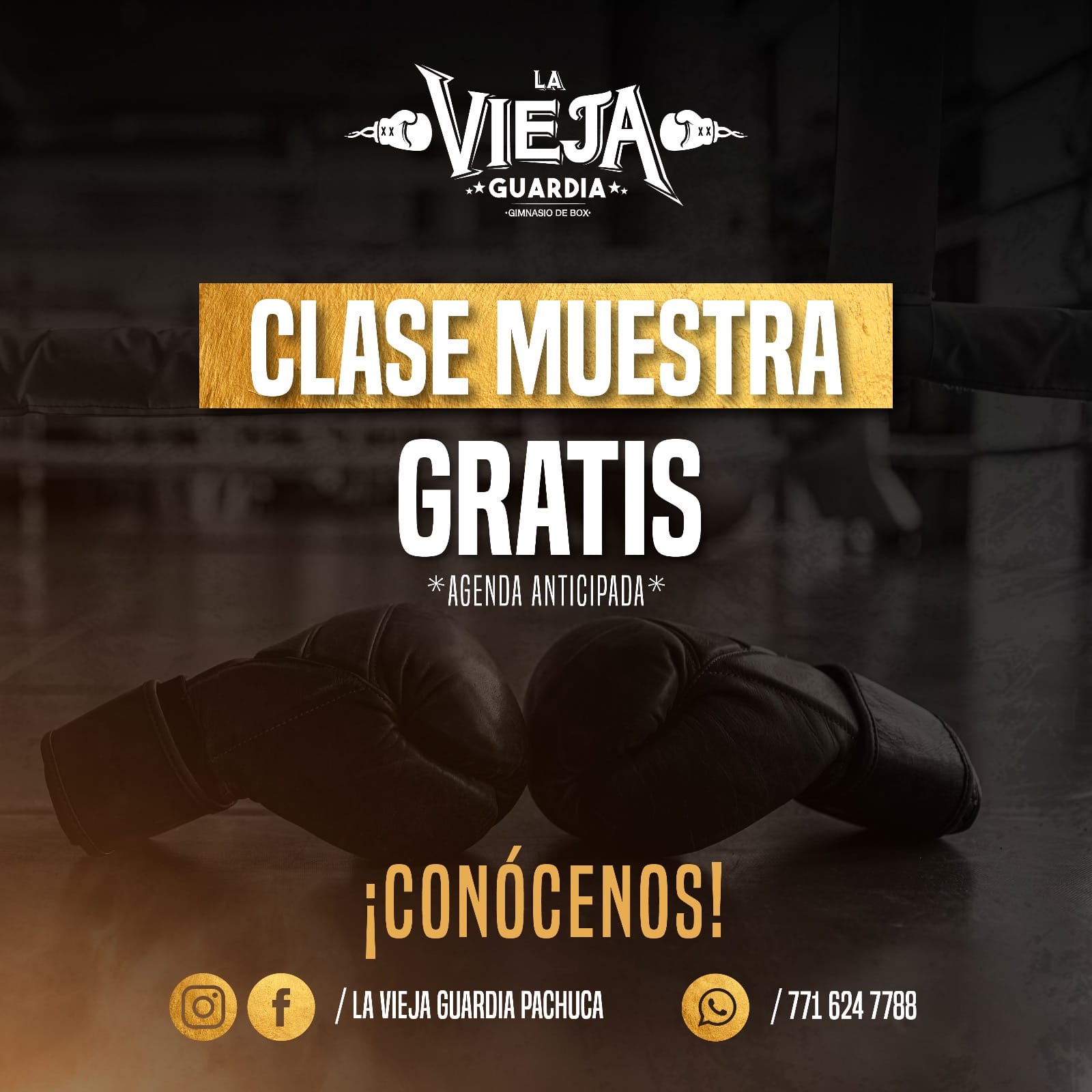 Gimnasio Hércules Azteca added... - Gimnasio Hércules Azteca