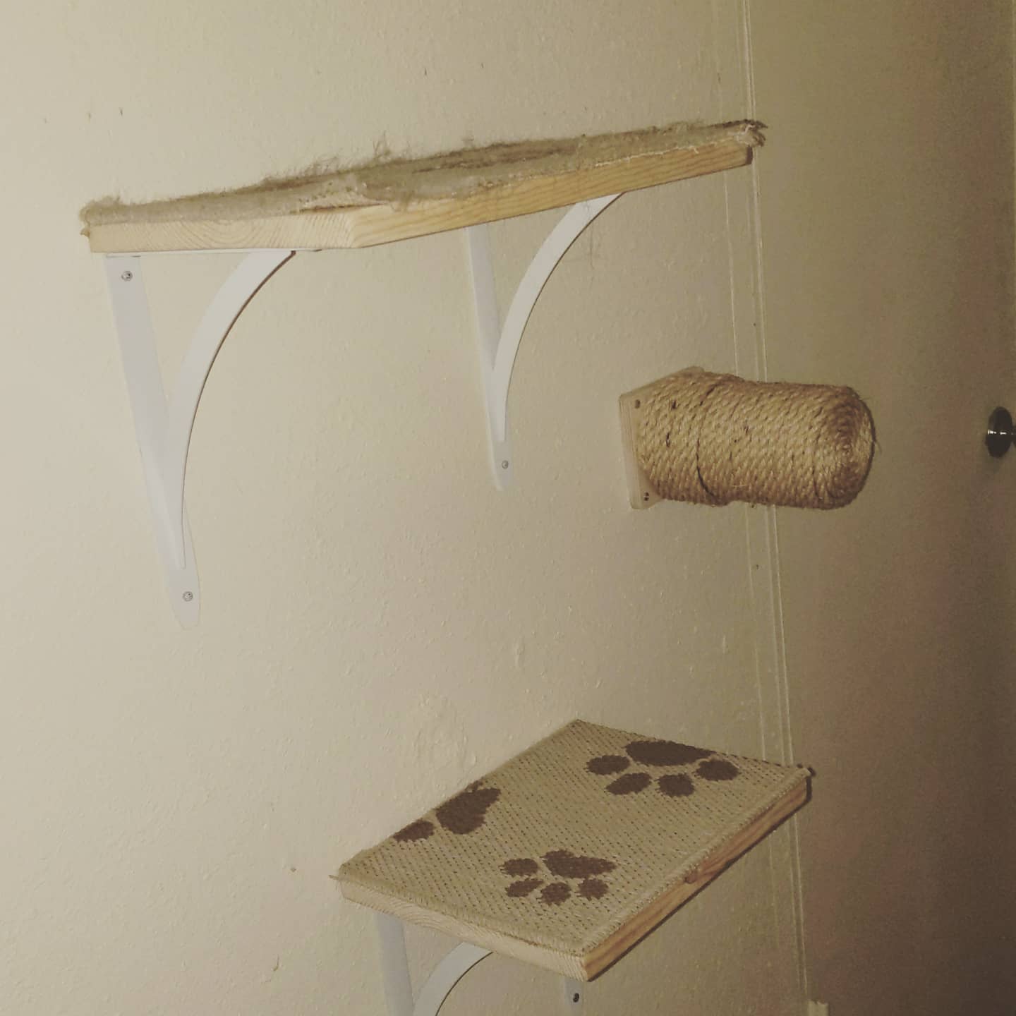 Maker Comet - Added onto our catification wall in the...