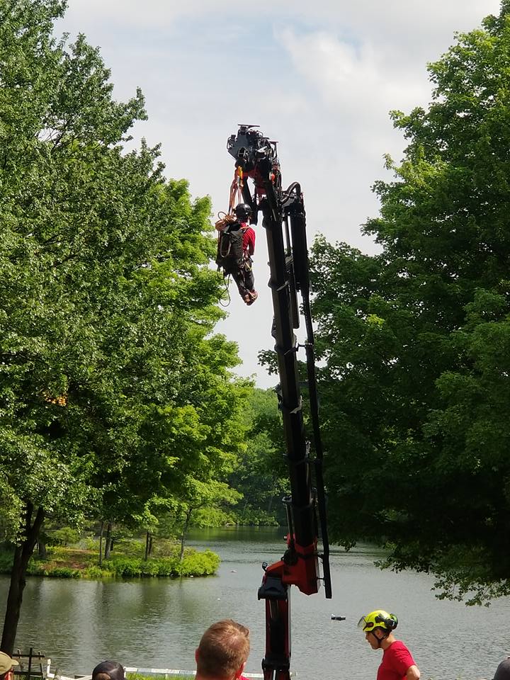 Patterson Tree Service Plus LLC