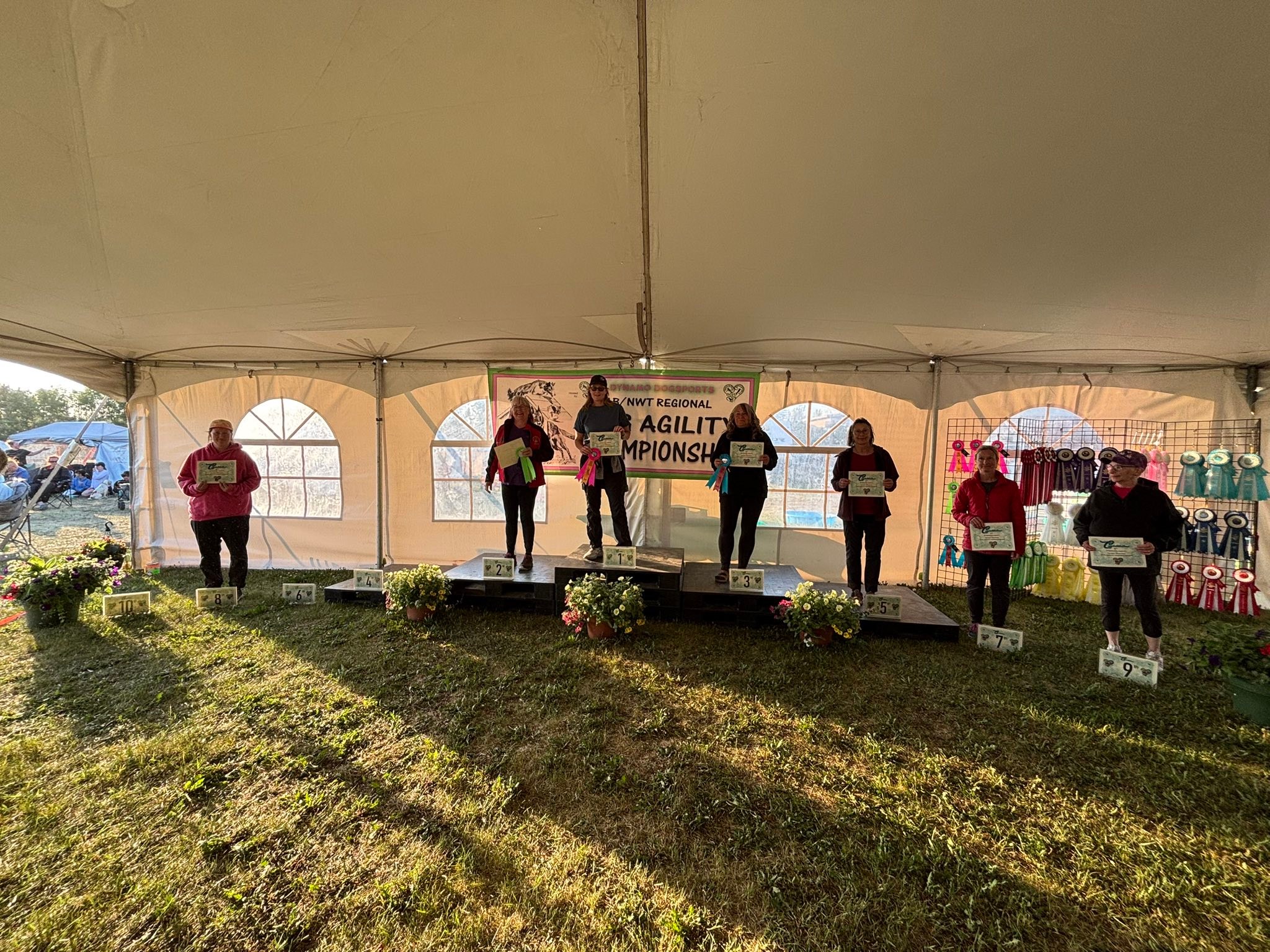 2025 AAC AB/NWT Regional Dog Agility Championship | Facebook