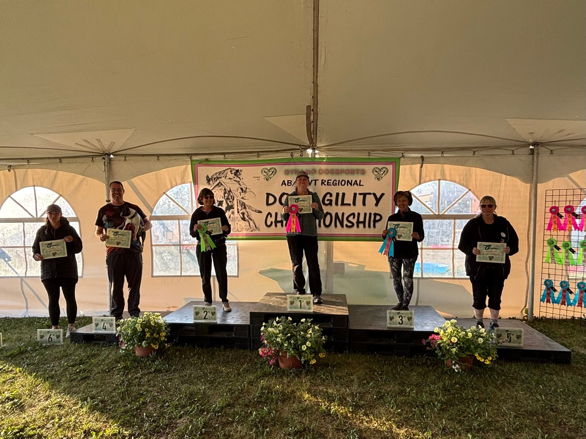 2025 AAC AB/NWT Regional Dog Agility Championship | Facebook