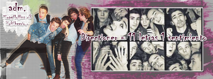 Directioner = 11 letras 1 sentimiento
