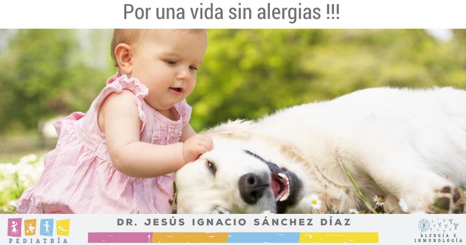 Dr. - PERMITE A TU HIJ@ VIVIR UNA VIDA SIN ALERGIA A SU MASCOTA Algunos ...