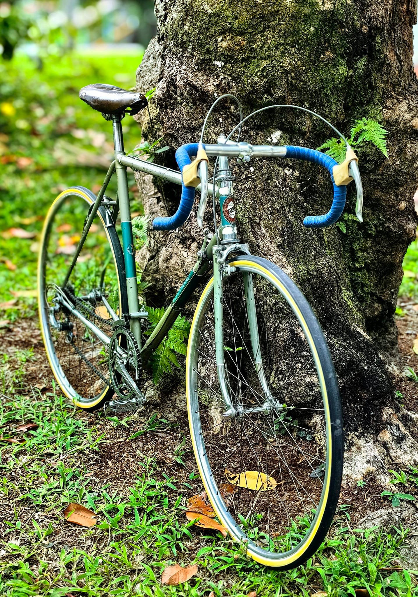 Dérailleur Avant Simplex Compétition Années 50-60 - Pour Vélo 2x5 Vitesses - Occasion
