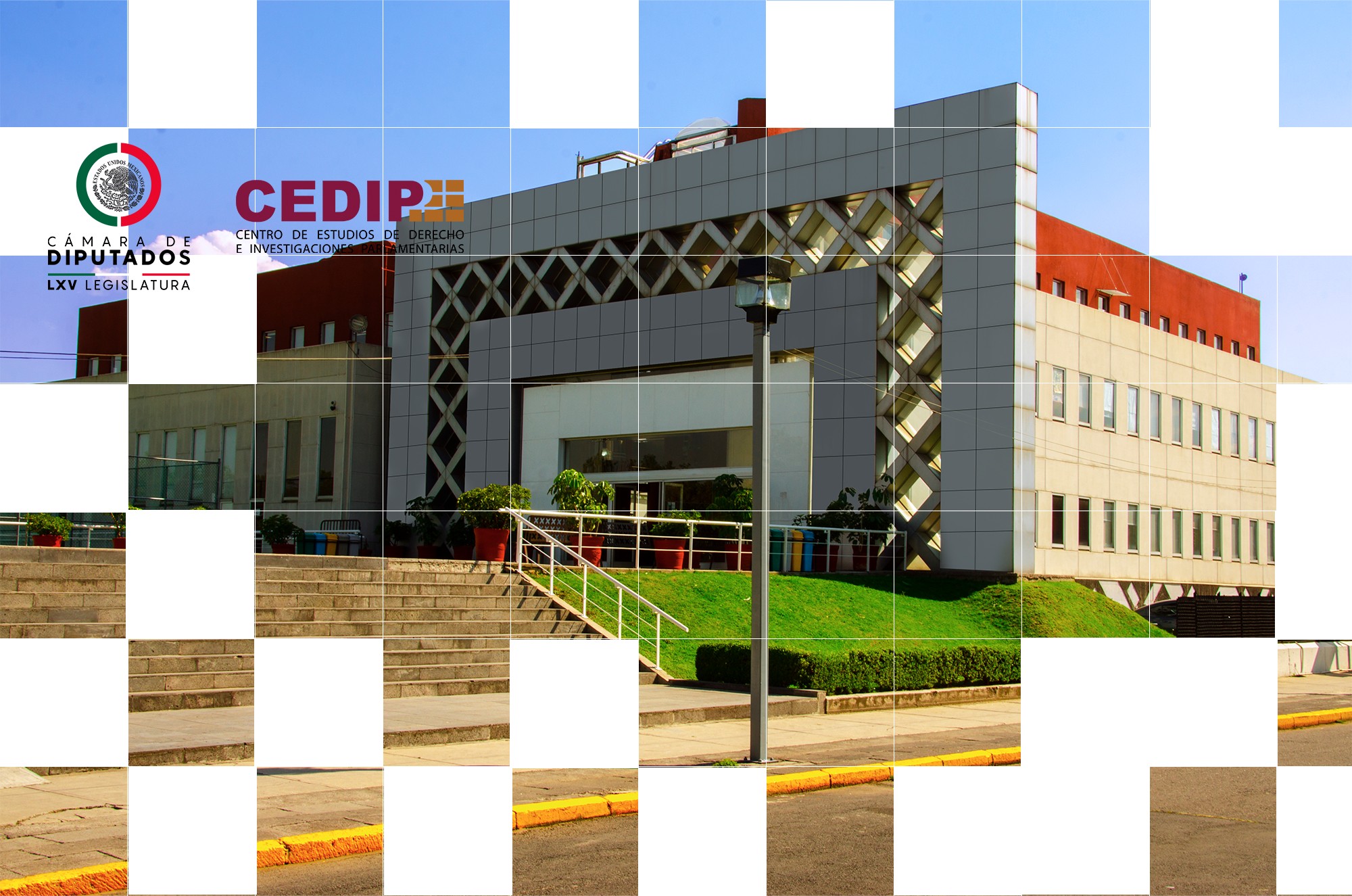 CEDIP - CEDIP updated their cover photo.