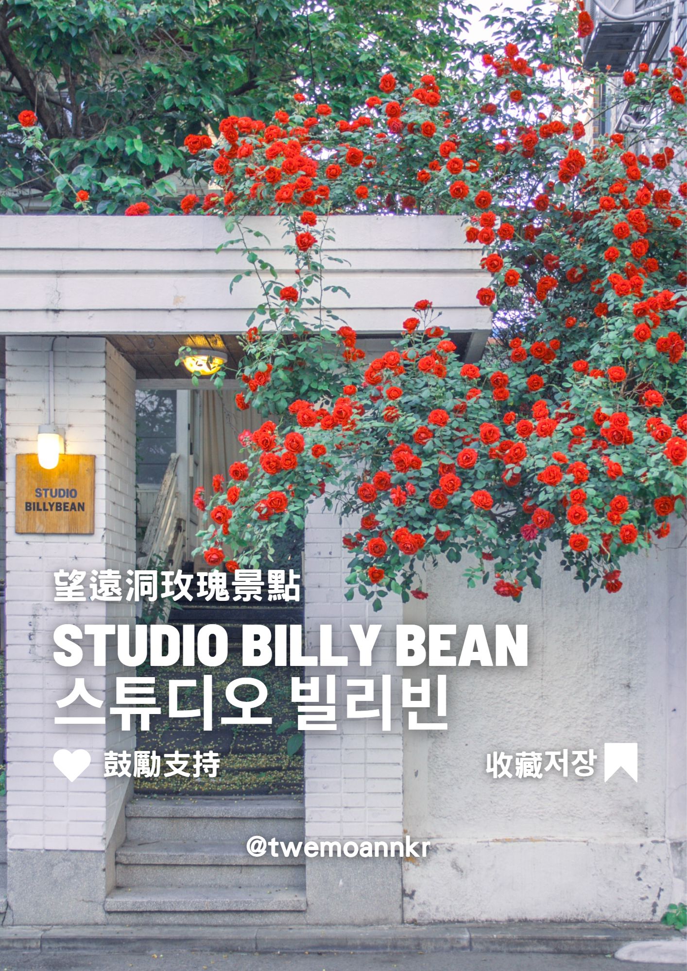 [首爾 望遠洞玫瑰 Studio Billy Bean]... - 台灣安姨的韓國安居日常 대만 이모앤의 한국 life