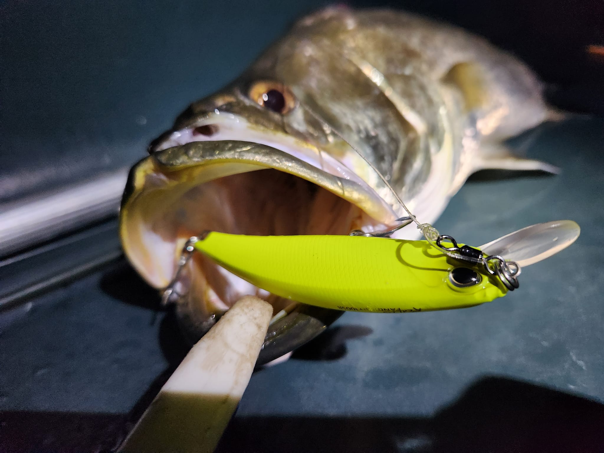 classic jansport backpack SuperBreak® Plus FX Lipless JanSport Right Pack *The Okuma C-Power Carp 10' Length:150 yd.