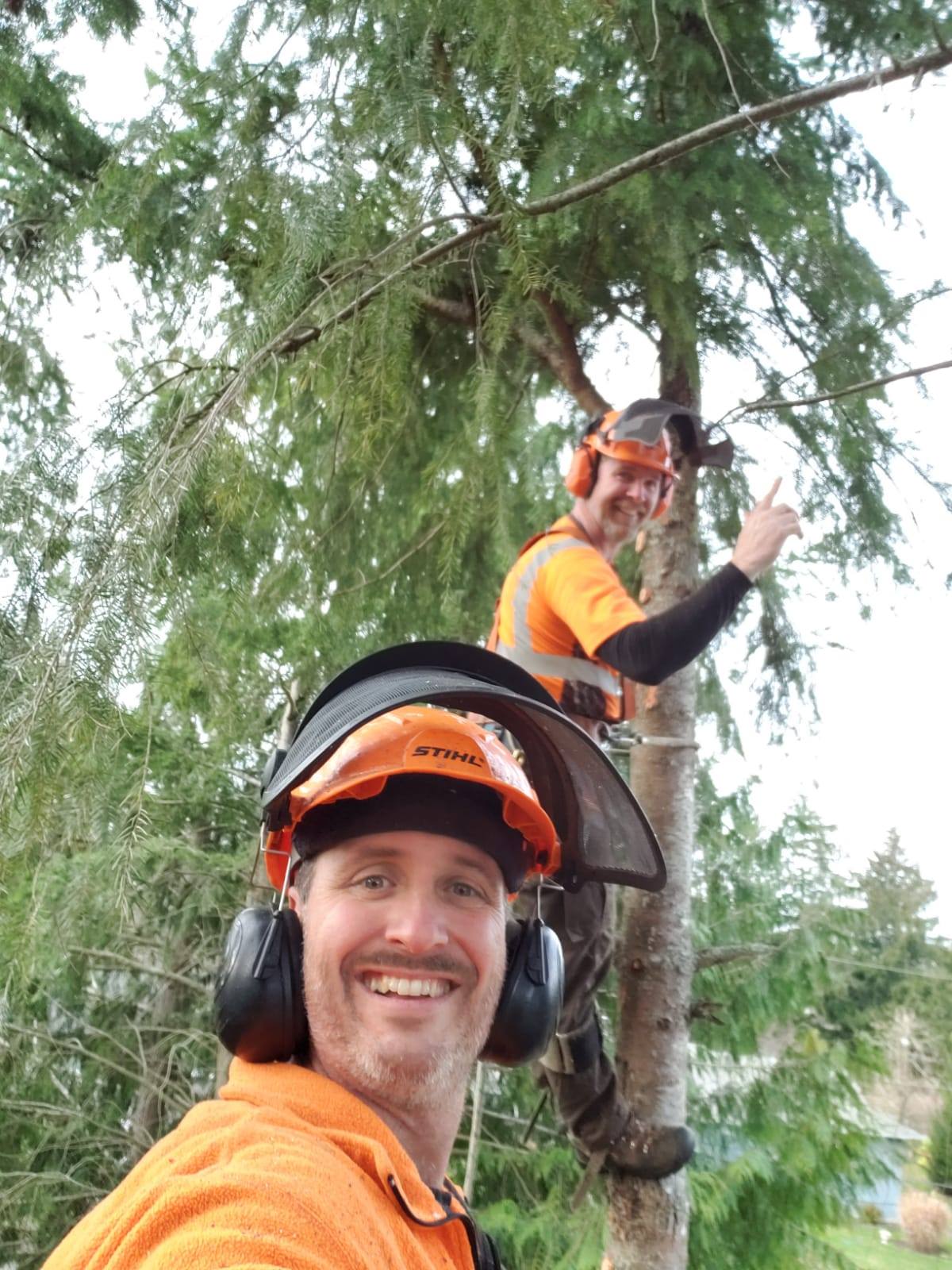 Out on a Limb Tree Service, LLC