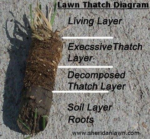 Sheridan Lawn and Landscaping LLC - It is lawn dethatching time. Here ...