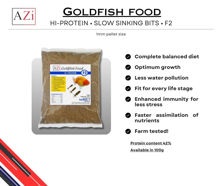 Curated visual reference: Water Quality And Goldfish Nutrient Balance Management Reference: Goldfish For Beginners