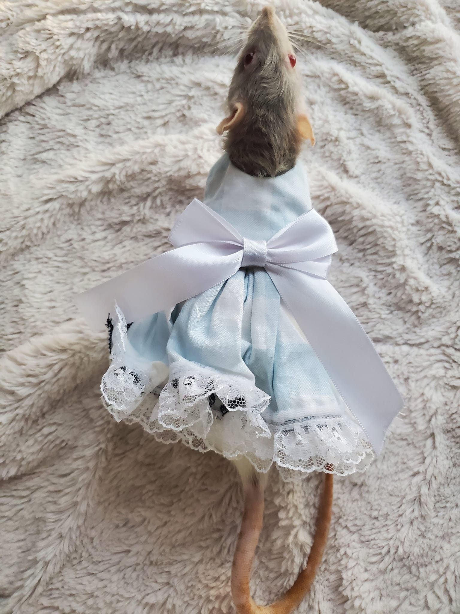 I completely forgot I bought these dresses months ago and just found them again 😍 how cute does my Ariadne look?! Don't worry she had each dress on for less than 2