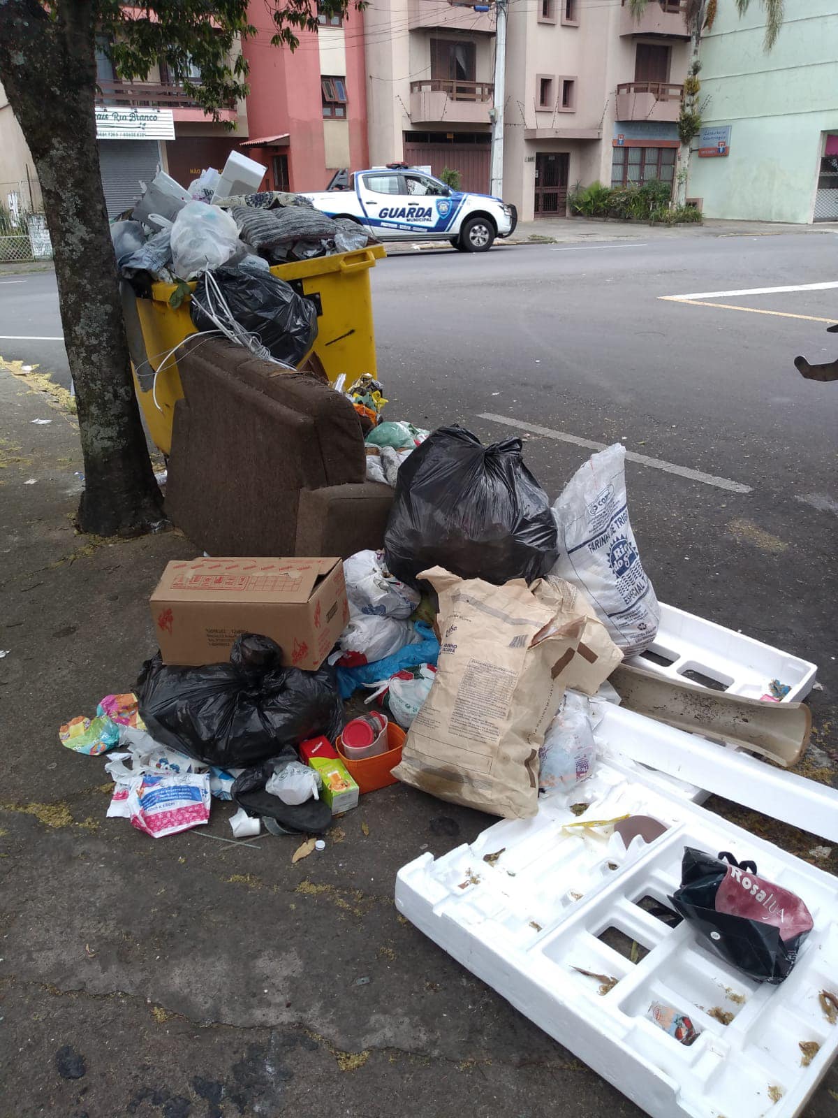 Codeca - 🚛 Diário da Coleta da Codeca 🗑 A coleta da...
