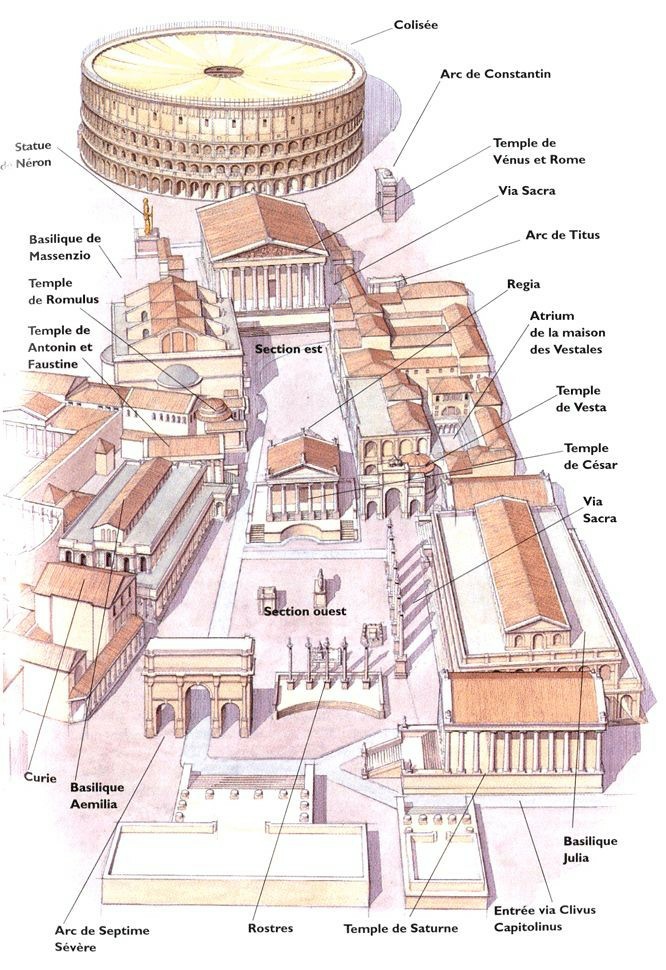Partes y nombres de todos los... - Historia y Roma antigua