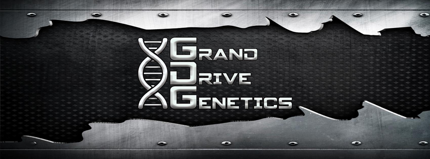 Applegate Showpigs & Grand Drive Genetics