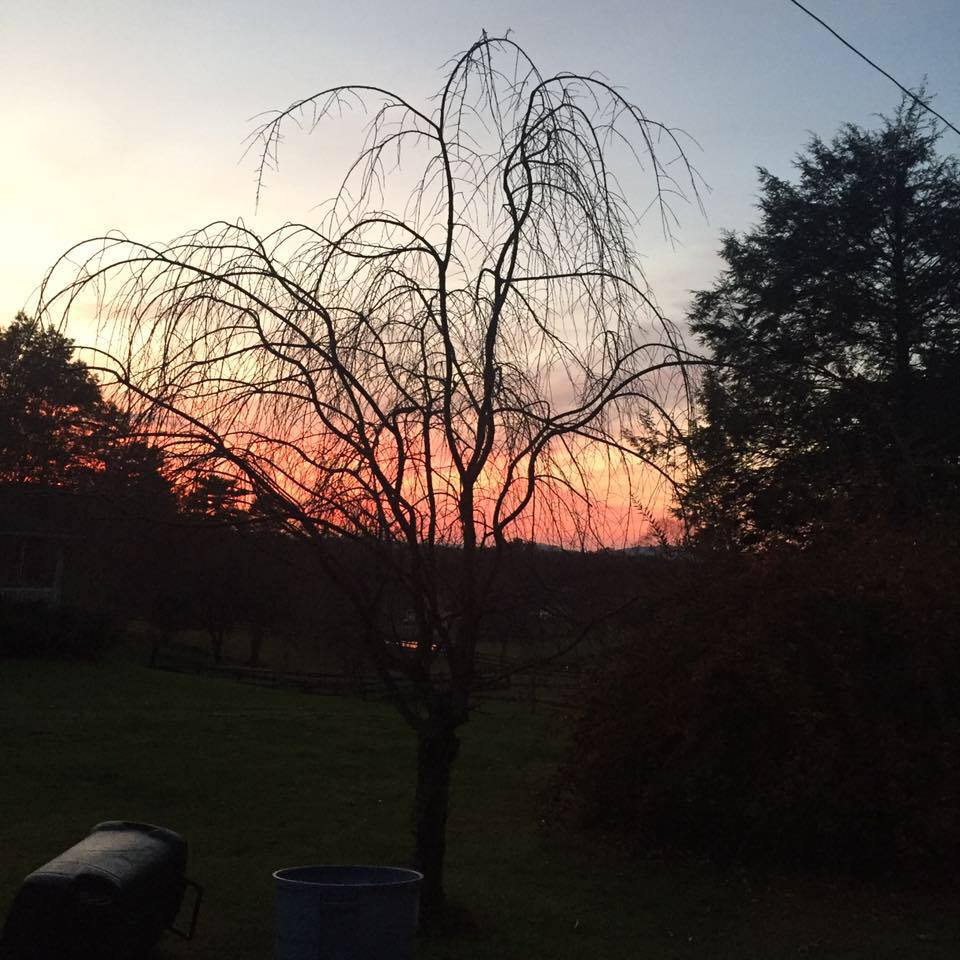 Linda Powell