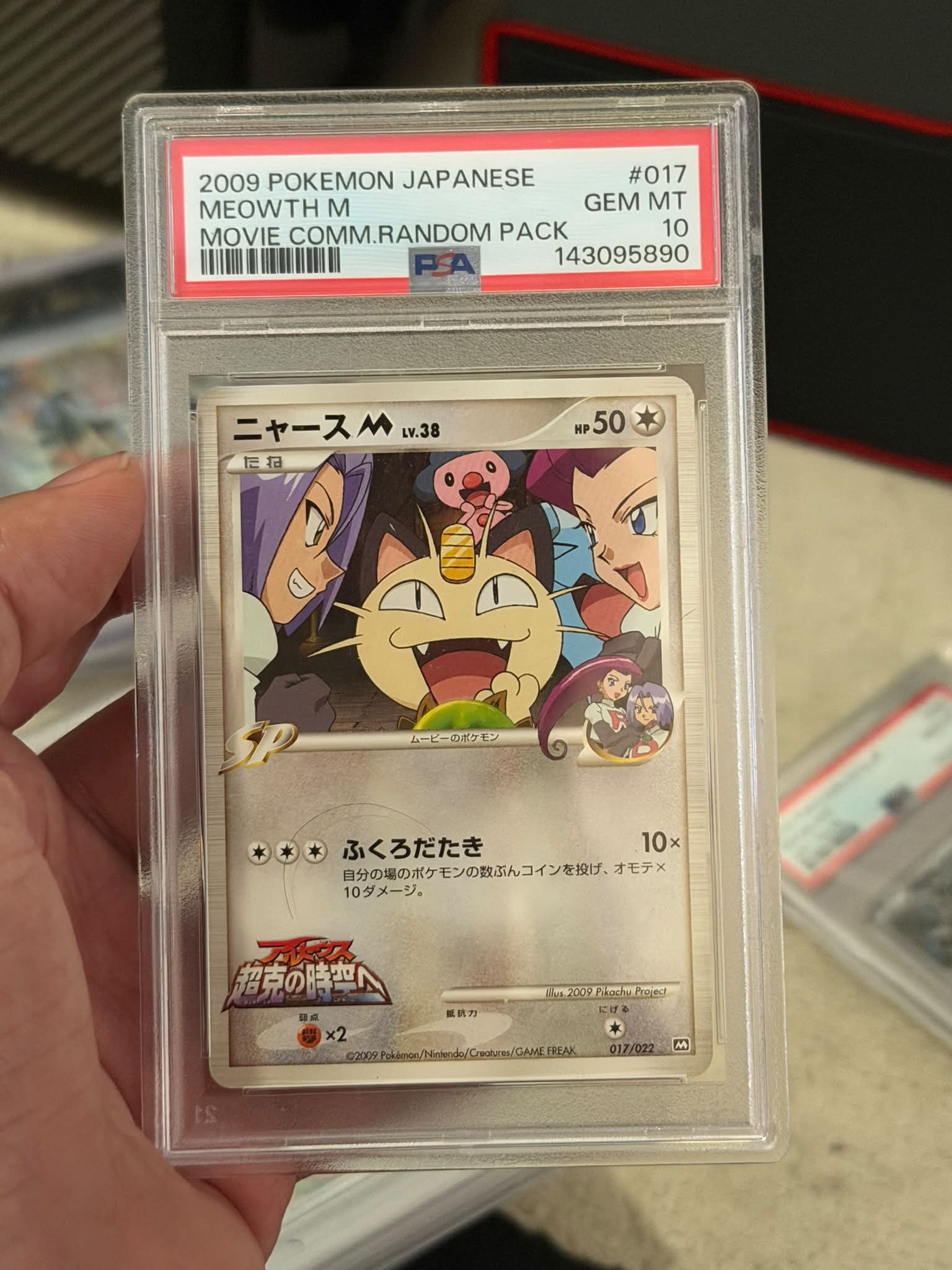 WANT TO AUCTION