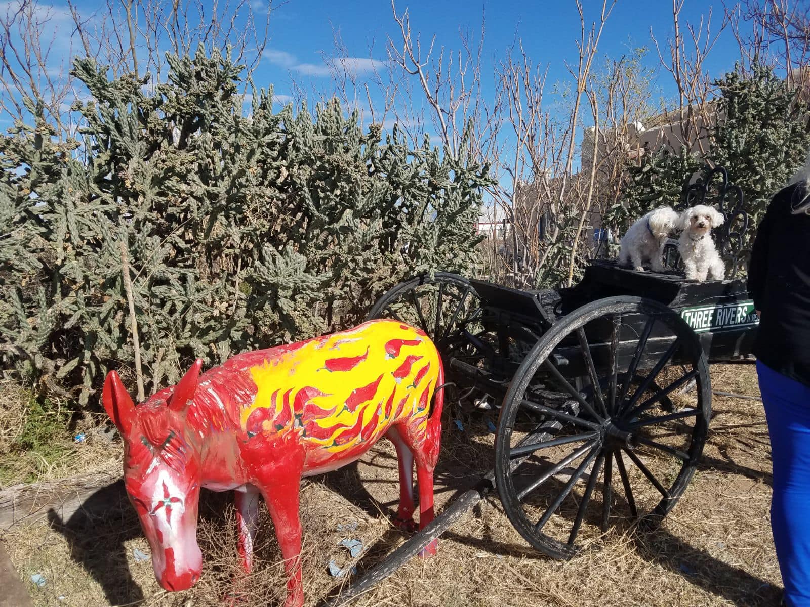 Three Rivers Trading Post | Three Rivers NM