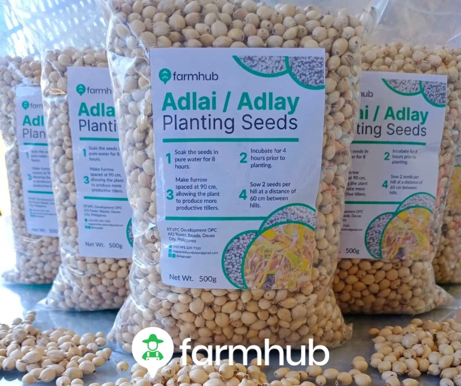 Davao Adlai/Adlay Rice Supplier | Davao City