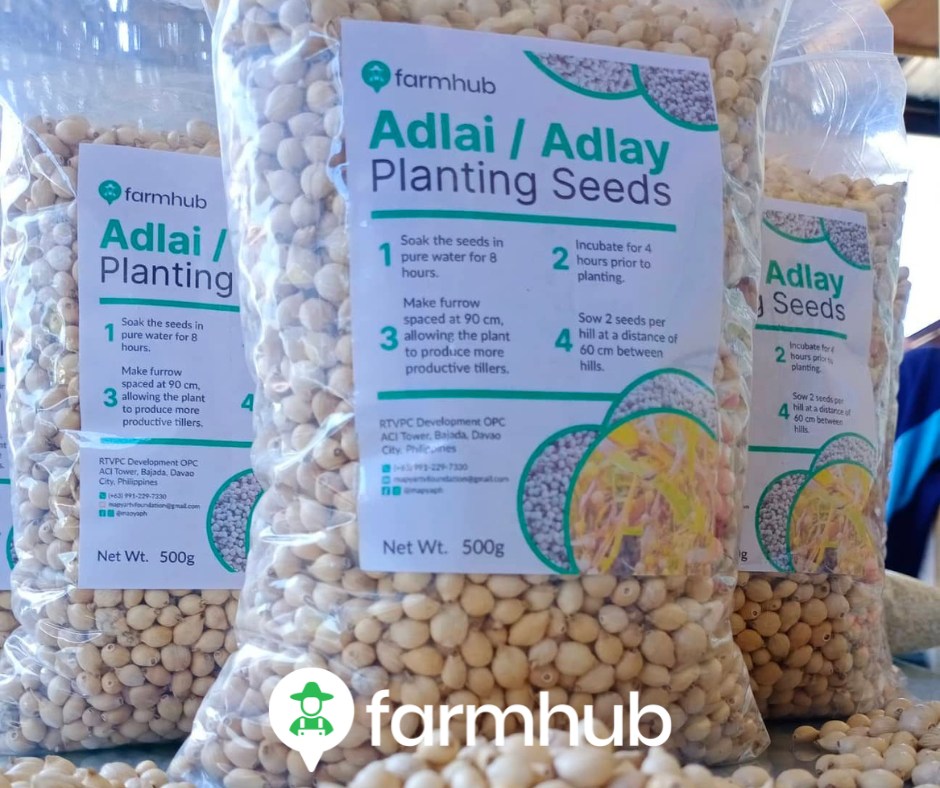 Davao Adlai/Adlay Rice Supplier | Davao City