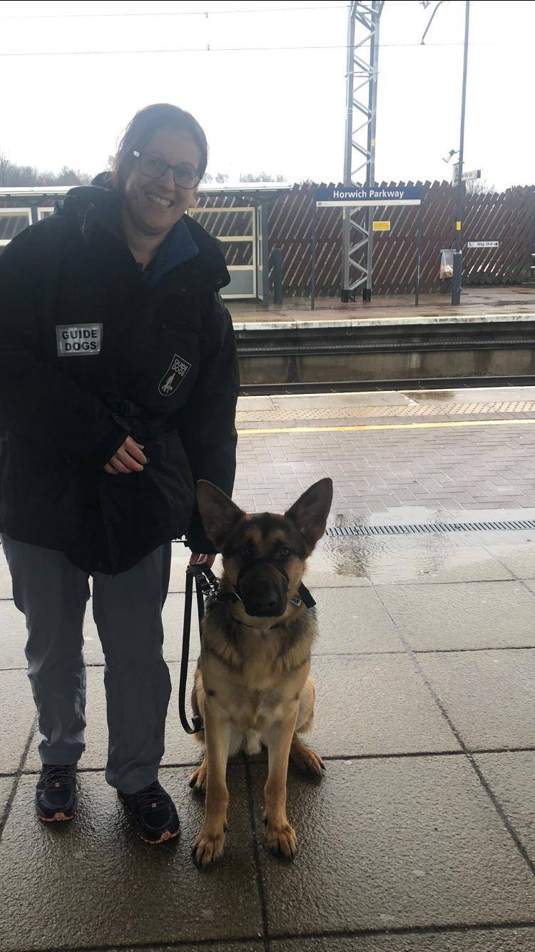 Ever wondered what a training dog... - Guide Dogs North West | Facebook