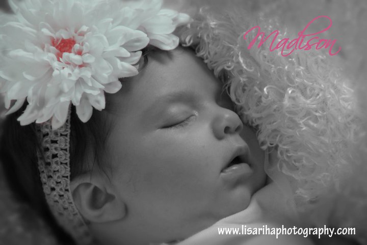Lisa Riha Photography
