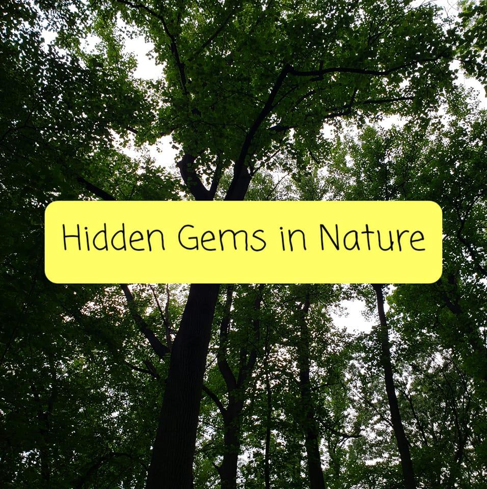 The beautiful, multi-faceted, and... - Hidden Gems in Nature | Facebook