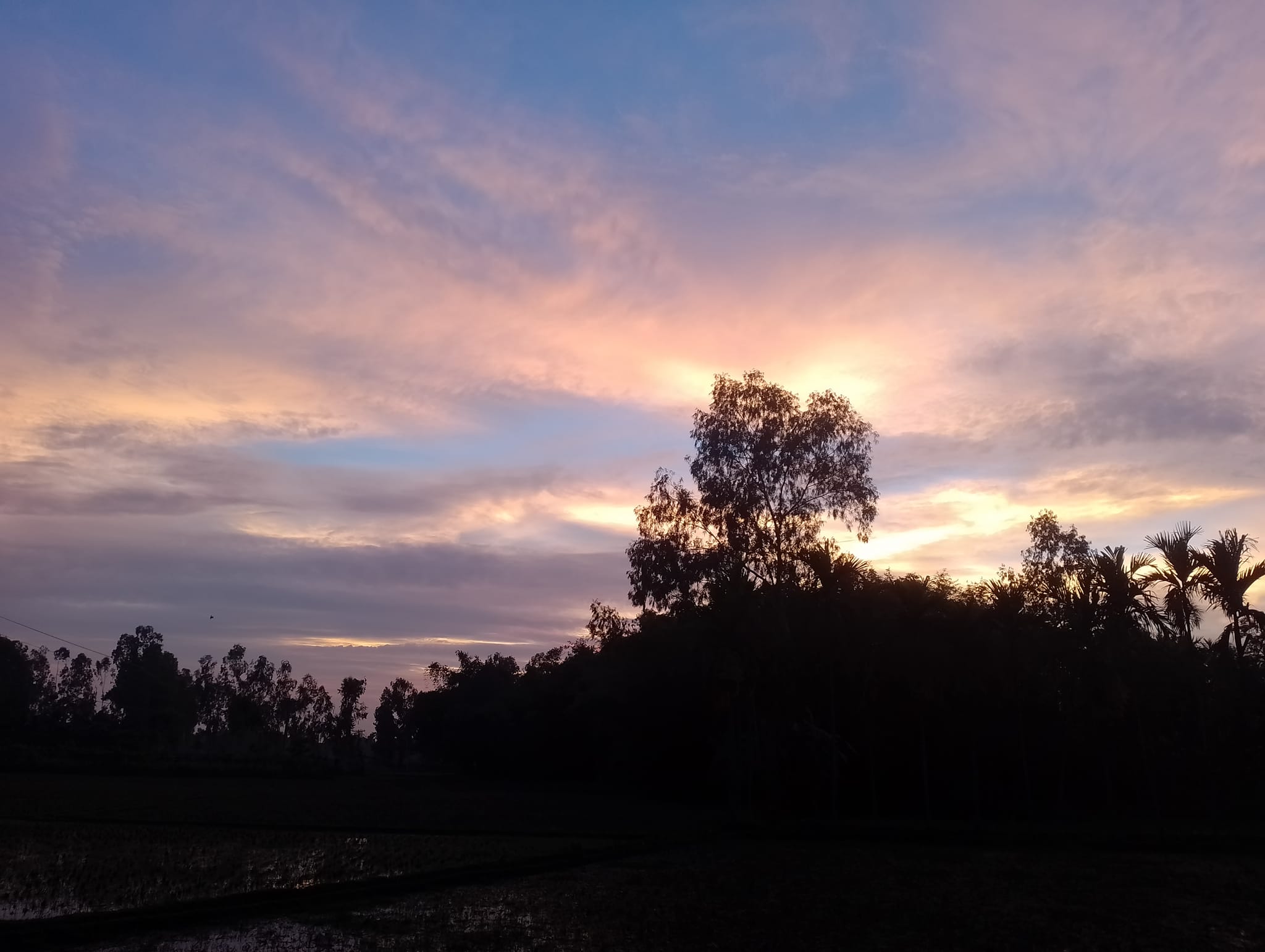 Ashraf Alif | Rangpur