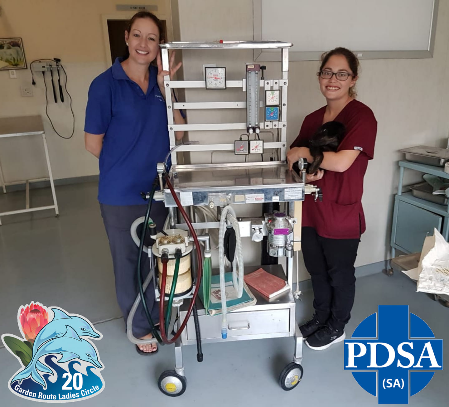 PDSA - SA | Cape Town