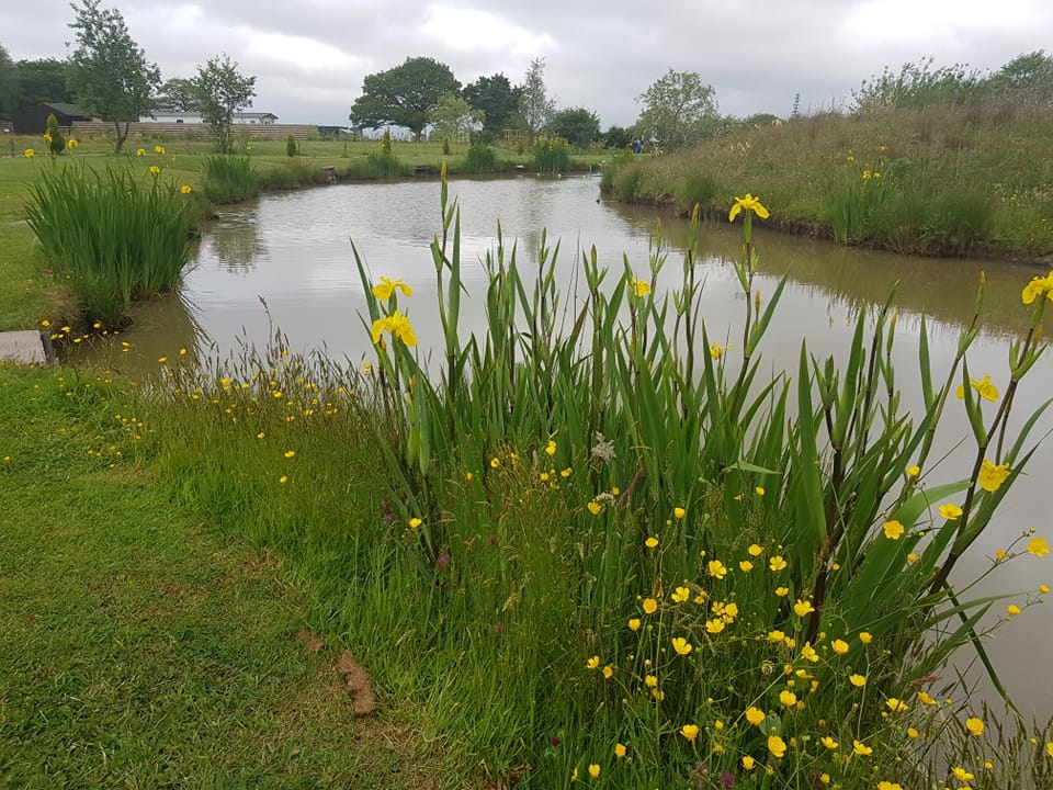 LIMBRICK FISHERY | Is there still toilet facilities available at the ...