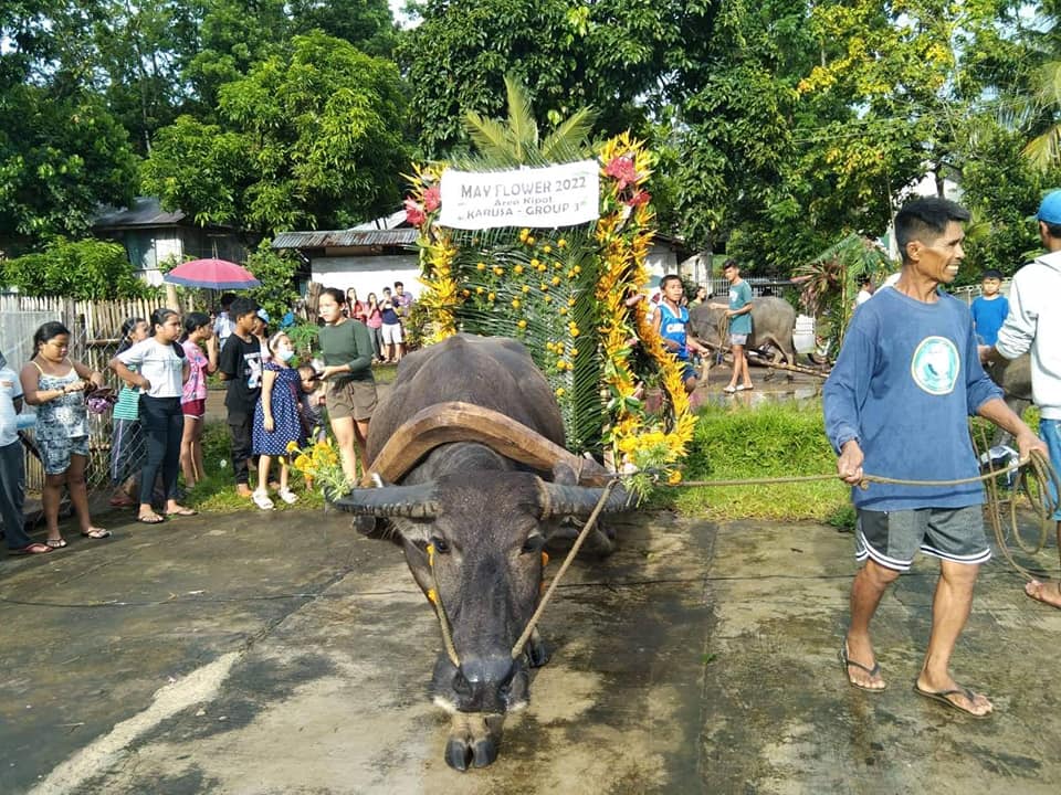 KARUSA FESTIVAL | Isa ka... - ADSUM Diocese of Bacolod