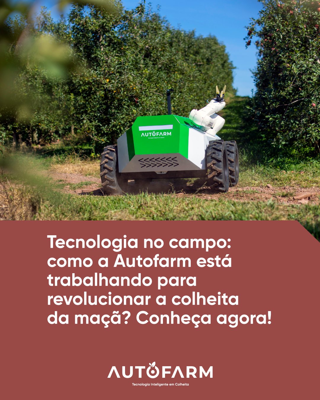 Autofarm | Caxias do Sul RS