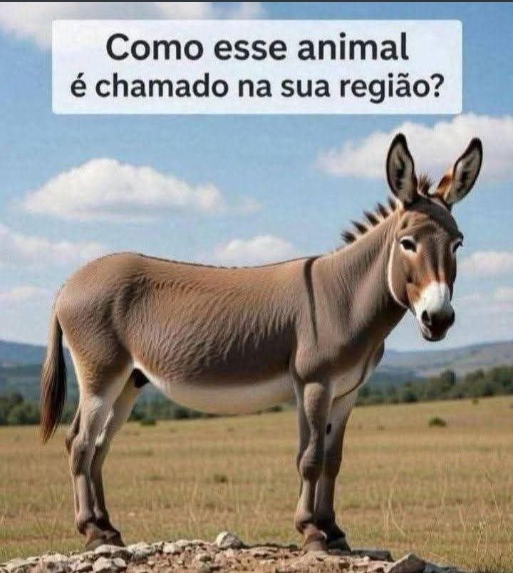 Como seria seu nome em japonês? A= ka B= tu C= mi E= ku F= lu က N