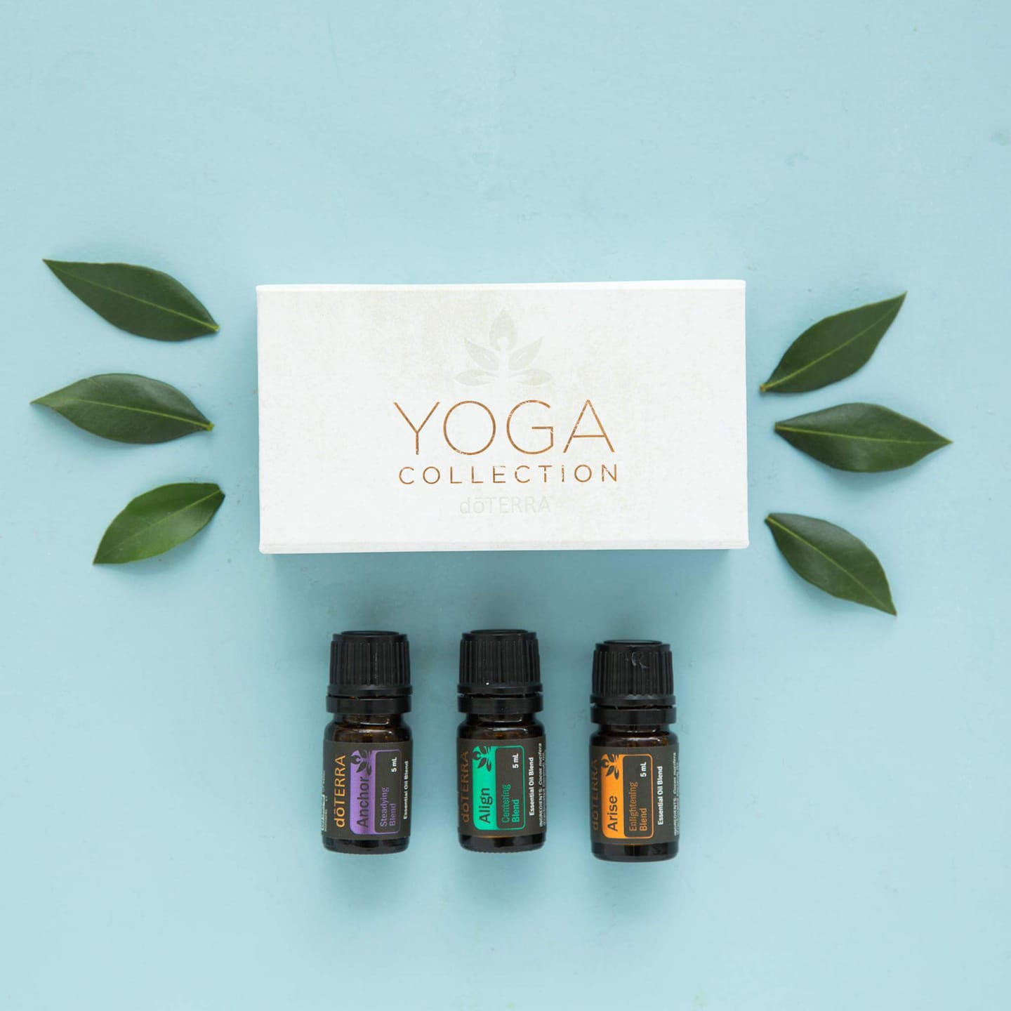 An exclusive trio of CPTG® essential oil blends designed by