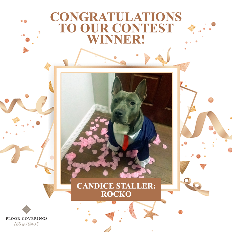 Congratulations to Rocko... - Floor Coverings International | Facebook
