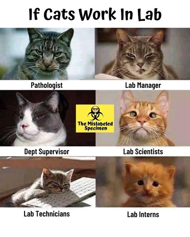 Happy Monday and Happy Lab Week... - The Mislabeled Specimen