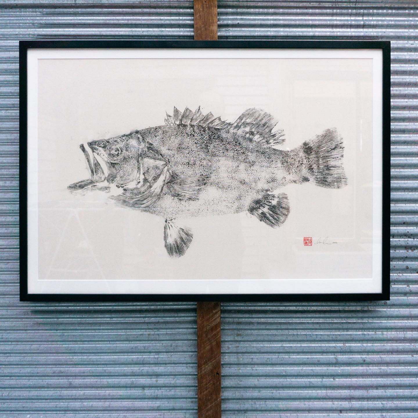 Tim Li Art - A couple of Cook Strait bandits. Bass and...