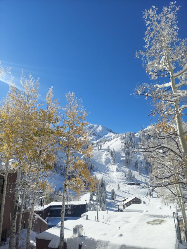 Kit Lender | Stowe VT